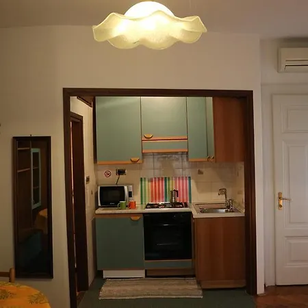 Ines Komel אופטיה